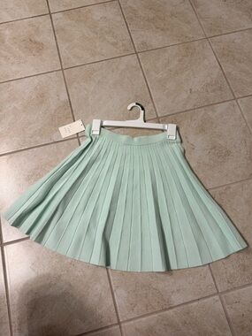 A New Day Mint Green Skirt